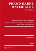 Prawo karn... - Magdalena Budyn-Kulik, Patrycja Kozłowska-Kalisz, Marek Kulik, Marek Mozgawa -  books in polish 
