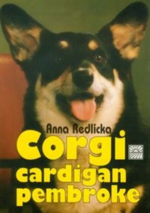 Picture of Corgi cardigan i  pembroke oraz ich krótkonodzy kuzyni