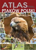 Atlas ptak... - Opracowanie Zbiorowe -  Książka z wysyłką do UK