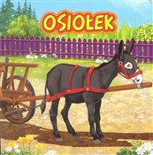 Osiołek - Katarzyna Campbell -  Polish Bookstore 