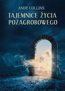 Obrazek Tajemnice życia pozagrobowego