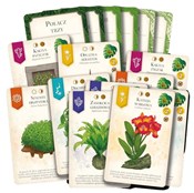 Zobacz : Doniczki -...