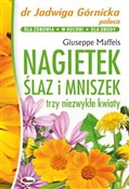Zobacz : Nagietek ś... - Giuseppe Maffeis