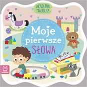 Książka : Akademia m... - Sylwia Kajdana