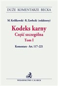 Kodeks kar... - Magdalena Budyn-Kulik, Rafał Citowicz, Joanna Długosz -  books from Poland