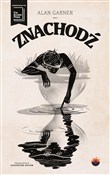 polish book : Znachodź - Alan Garner