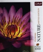 Puzzle Lil... -  foreign books in polish 