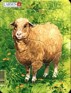 Obrazek Układanka Rysunki zwierząt Owca 5 elementów