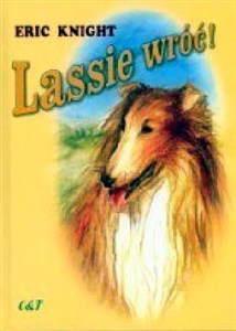 Obrazek Lassie wróć!