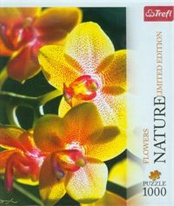 Picture of Puzzle 1000 Nature Orchidea Limited Edition