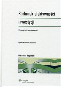 Obrazek Rachunek efektywności inwestycji Wyzwania teorii i potrzeby praktyki