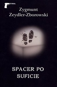 Obrazek Spacer po suficie