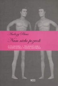 Obrazek Nam niebo pozwoli o filmowej i telewizyjnej twórczości Todda Haynesa