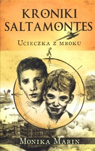 Obrazek Kroniki Saltamontes Ucieczka z mroku