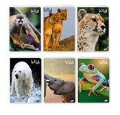 Paczka Zes... -  books in polish 