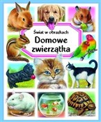 Świat w ob... - Emilie Beaumont, Patricia Reinig -  books in polish 