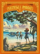 Polska książka : Niezwykła ... - Silvio Camboni, Denis-Pierre Filippi