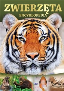 Obrazek Zwierzęta Encyklopedia