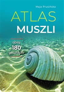 Obrazek Atlas muszli Opisy 180 gatunków