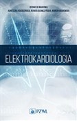 polish book : Elektrokar... - Renata Główczyńska, Agnieszka Kołodzińska, Marcin Grabowski