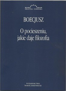 Obrazek O pocieszeniu jakie daje filozofia