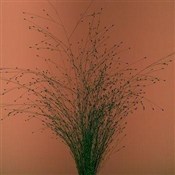 Tak mi się... -  books in polish 