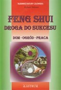 Feng Shui ... - Richard Webster - Ksiegarnia w UK