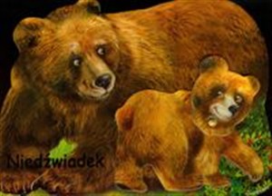 Obrazek Niedźwiadek