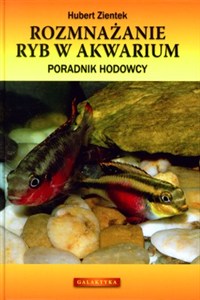 Obrazek Rozmnażanie ryb w akwarium Poradnik hodowcy