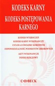 Kodeks kar... -  foreign books in polish 
