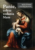 Polska książka : Panie usły... - Estera Baksik-majnusz