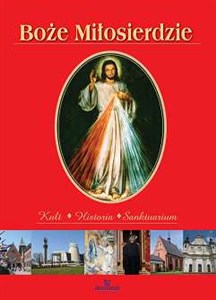 Obrazek Boże Miłosierdzie Kult Historia Sanktuarium