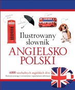 Ilustrowan... - Tadeusz Woźniak -  Polish Bookstore 