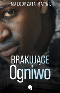 Picture of Brakujące ogniwo