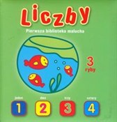 Pierwsza b... -  Książka z wysyłką do UK