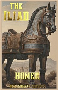 Picture of The Iliad