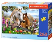 polish book : Puzzle In ...