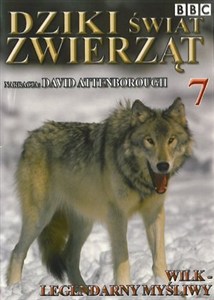 Picture of Wilk: Legendarny myśliwy