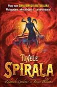 polish book : Tunele Spi... - Roderick Gordon, Brian Williams