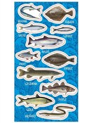 polish book : Naklejki R...