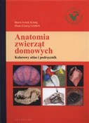 Anatomia z... - Horst Erich Konig, Hans-Georg Liebich - Ksiegarnia w UK