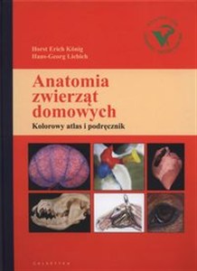 Picture of Anatomia zwierząt domowych Kolorowy atlas i podręcznik
