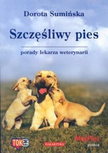 Obrazek Szczęśliwy pies porady lekarza weterynarii