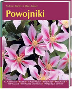 Picture of Powojniki Na podporach, płożące, w pojemnikach, pielęgnacja, przycinanie, rozmnażanie, kompozycje ogrodowe, na
