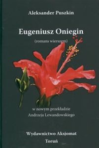 Obrazek Eugeniusz Oniegin