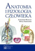 Polska książka : Anatomia i... - Aleksander Michajlik, Witold Ramotowski