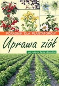 Obrazek Uprawa ziół Poradnik dla plantatorów