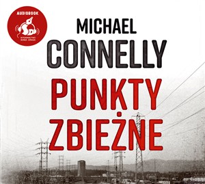 Obrazek [Audiobook] Punkty zbieżne