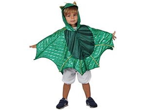 Picture of Strój Dinozaur XS