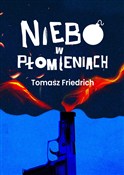 Zobacz : Niebo w pł... - Tomasz Friedrich